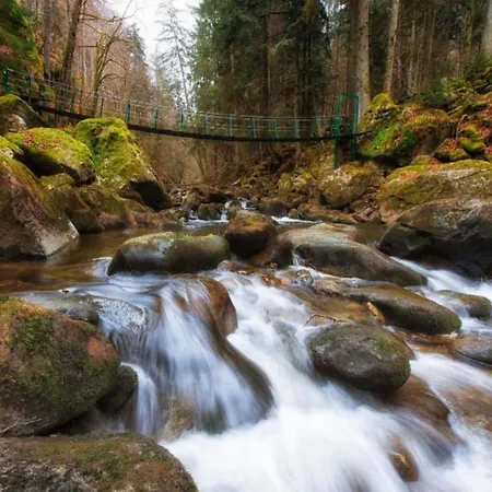 Serges Mit Pool Und Sauna In Freyung