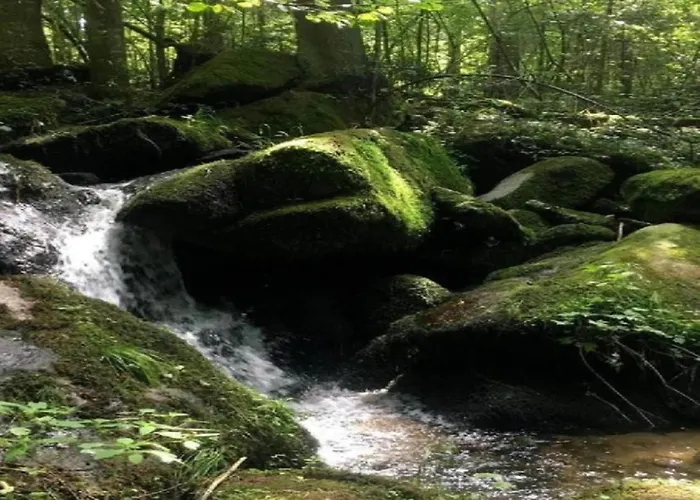 Serges Mit Pool Und Sauna In