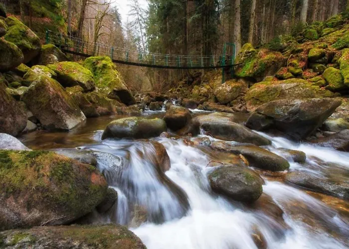 Serges Mit Pool Und Sauna In Freyung